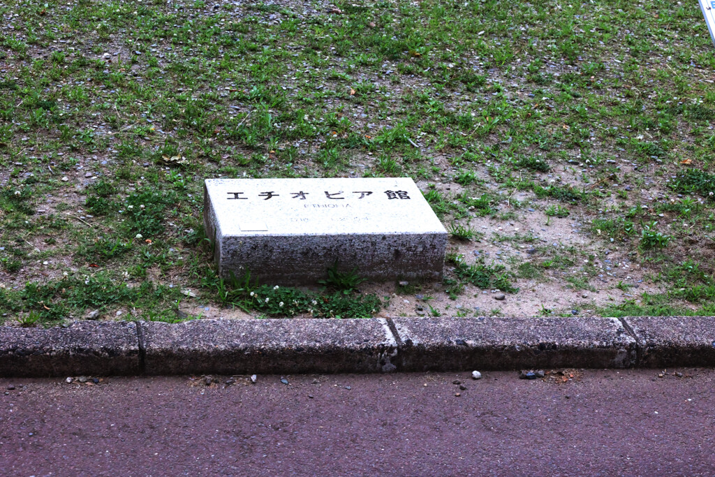 Digital Playback Canon AE-1 035