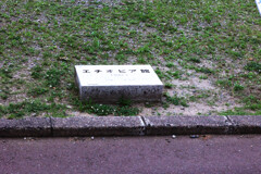 Digital Playback Canon AE-1 035