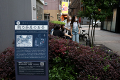 Digital Playback Canon AE-1 061