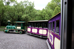 Digital Playback Canon AE-1 031