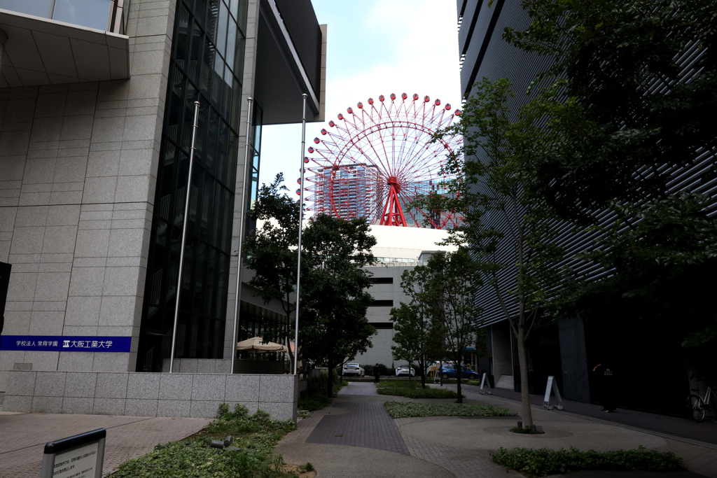 Digital Playback Canon AE-1 052