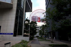 Digital Playback Canon AE-1 052