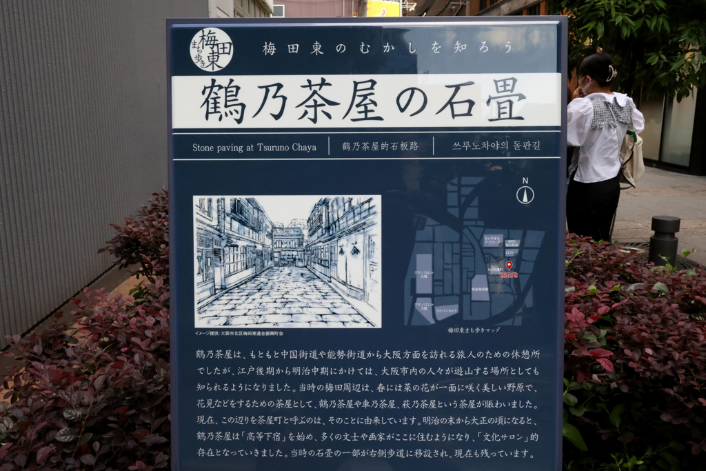 Digital Playback Canon AE-1 062