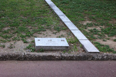 Digital Playback Canon AE-1 036