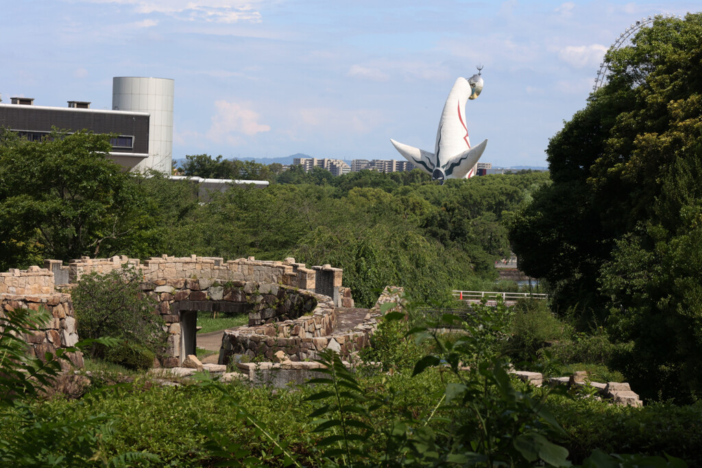 Digital Playback Canon AE-1 019