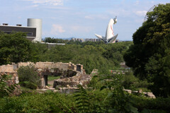 Digital Playback Canon AE-1 019