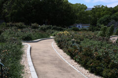 Digital Playback Canon AE-1 004