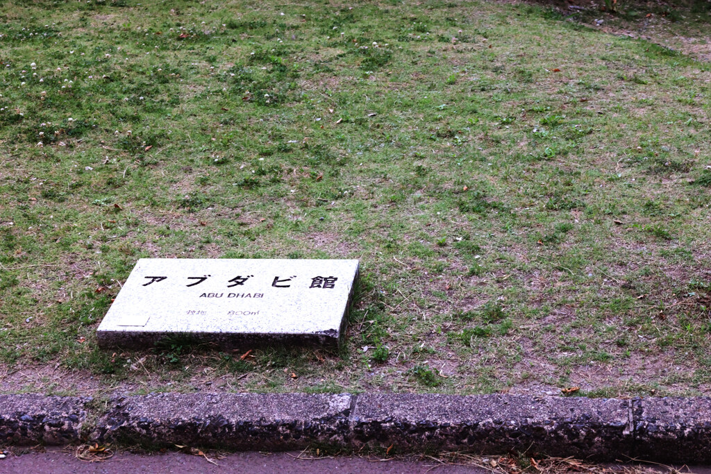 Digital Playback Canon AE-1 034