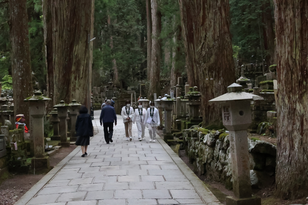 実録 熊野古道 紀伊路を往く 0272