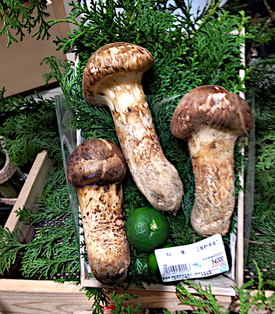 どうだ！秋だ！君は食欲が湧くか！？