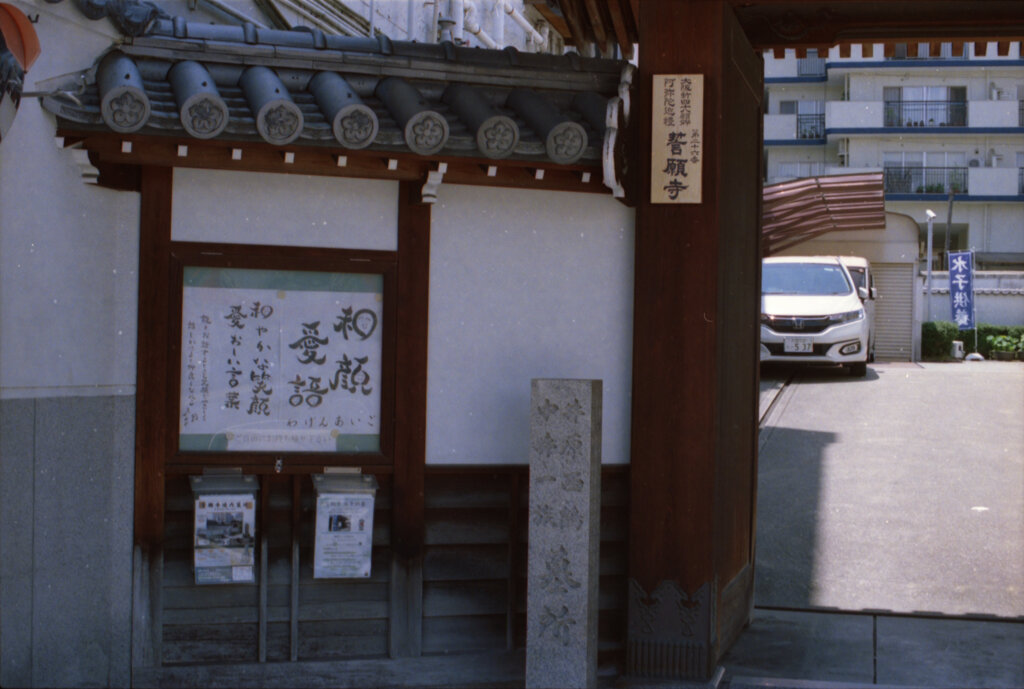 Carl Zeiss vs Nikkor mounted Nikon F 029