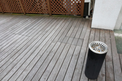 Digital Playback Canon AE-1 056