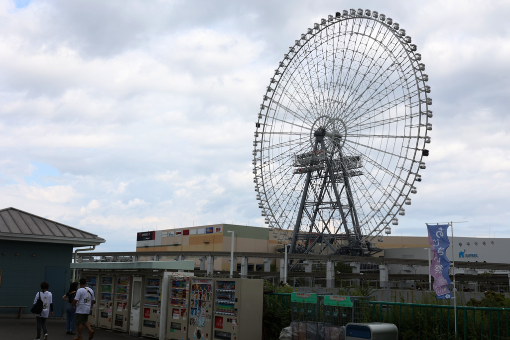 Digital Playback Canon AE-1 037