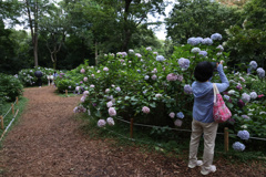 Digital Playback Canon AE-1 024