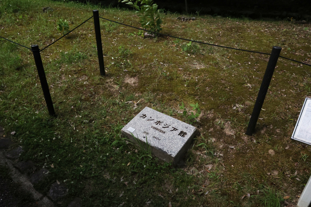 Digital Playback Canon AE-1 015