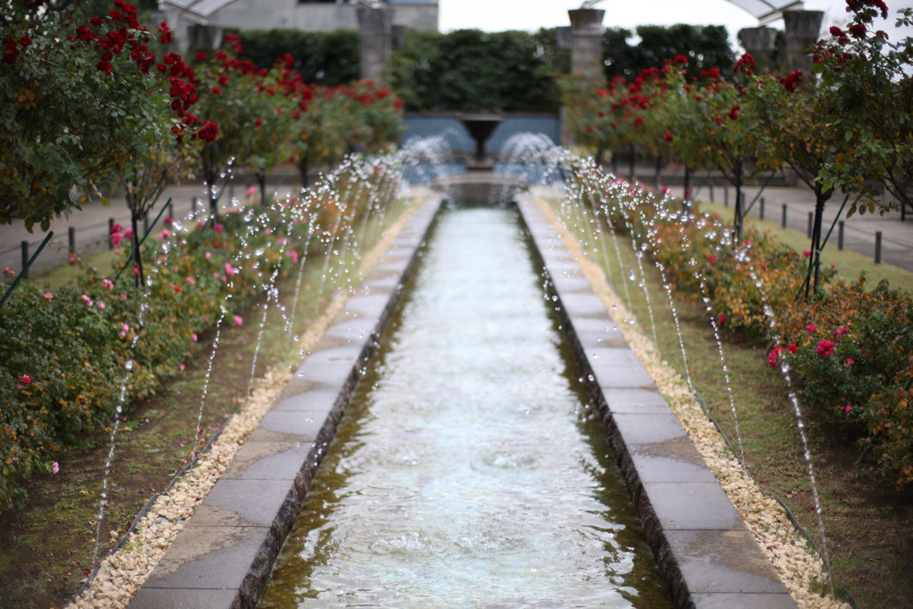 全国徘徊放浪記 041