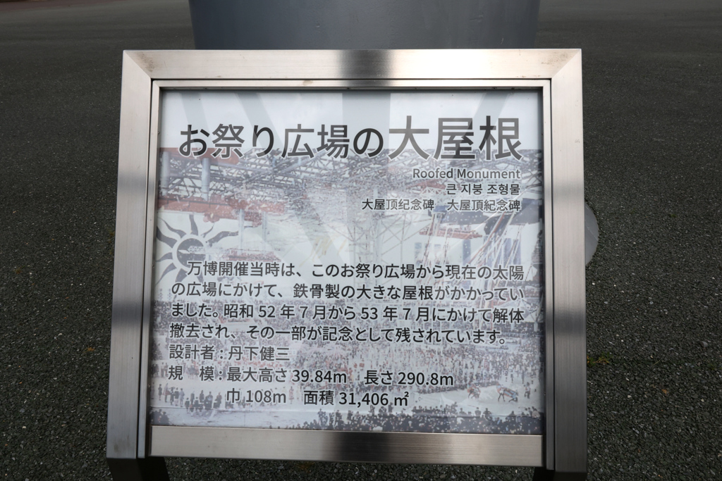 Digital Playback Canon AE-1 008