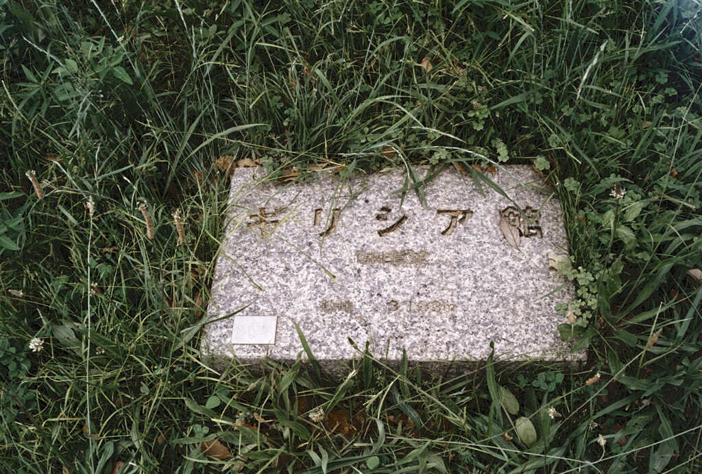 連写一眼 Canon AE-1 017