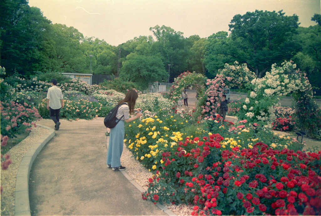 連写一眼 Canon AE-1 007