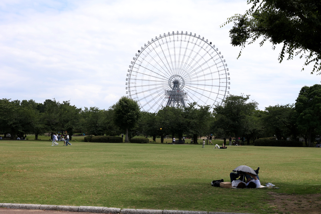 Digital Playback Canon AE-1 009