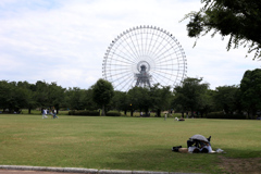 Digital Playback Canon AE-1 009