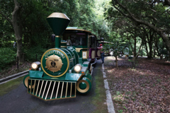 Digital Playback Canon AE-1 014