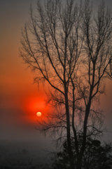 濃霧と朝陽