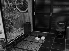街の風景43 ~居場所~