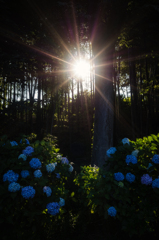 梅雨の晴れ間