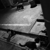 街の風景26 ~路地裏の猫たち~