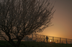 街の風景54 ~春めいて~