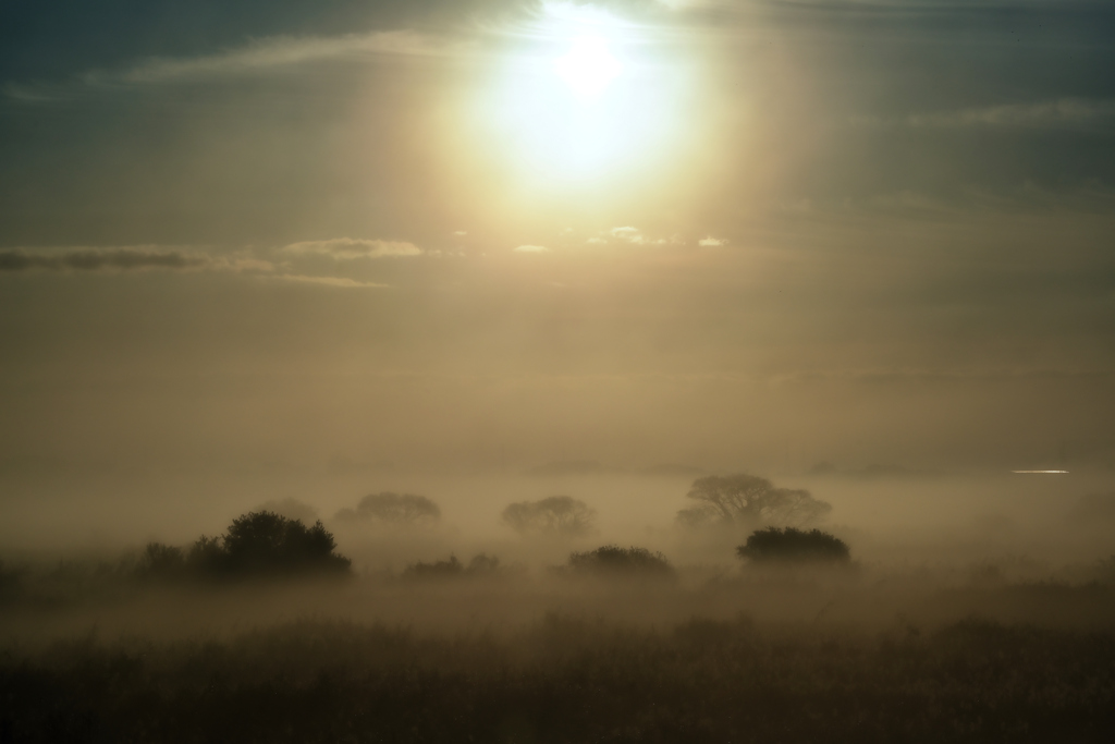 朝霧と太陽