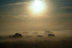 朝霧と太陽