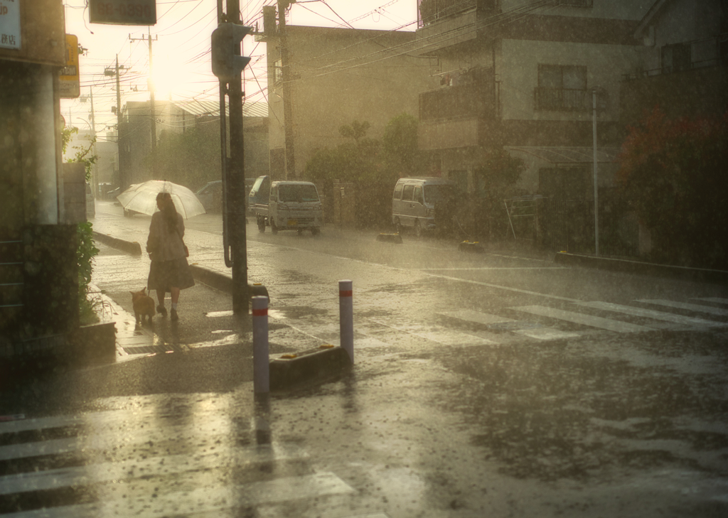 通り雨