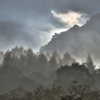 雲湧く森