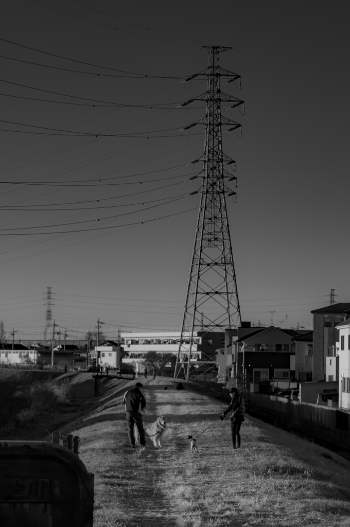 街の風景50 ~けもの道~