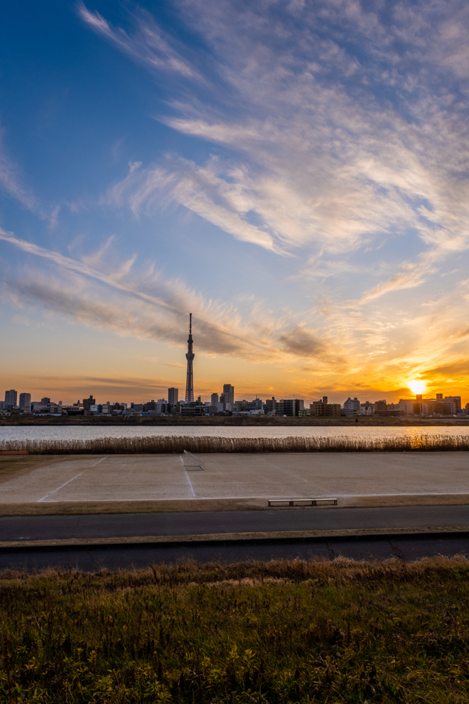 夕暮れ時　スカイツリーが見える場所で