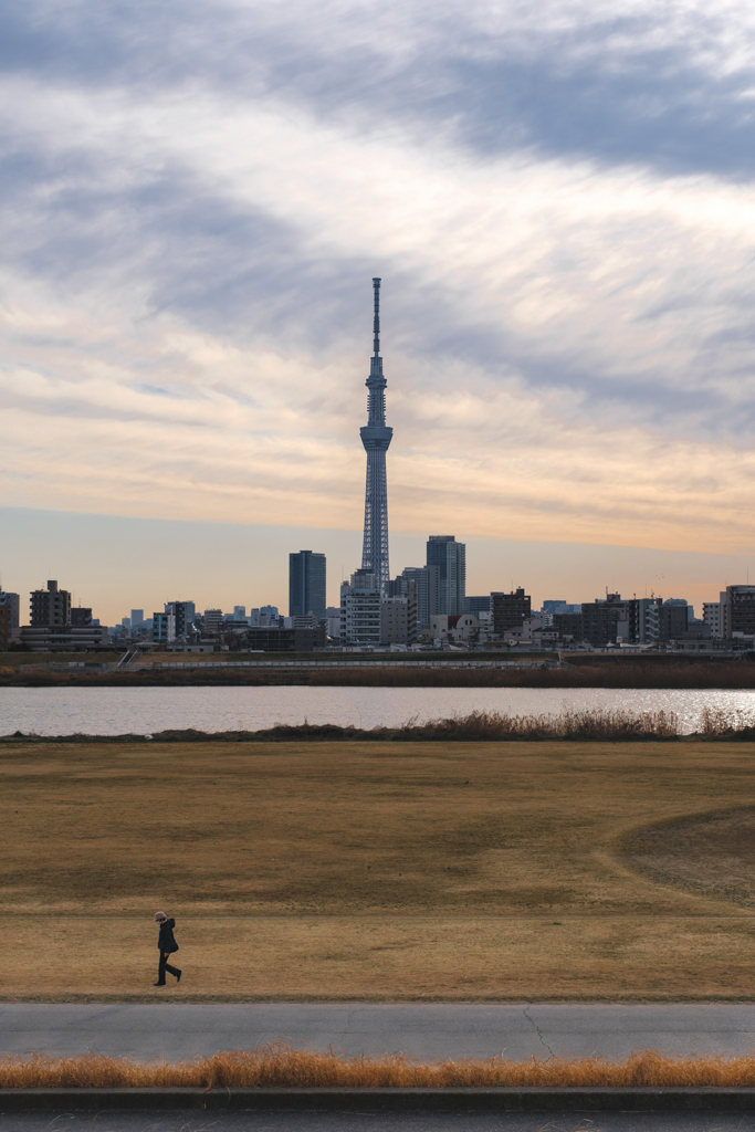 夕方　スカイツリーが見える場所で