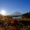 精進湖の朝　（秋）