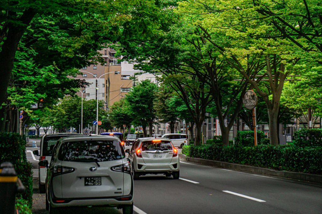 もうすぐ紅葉（市街地）