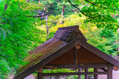 もうすぐ紅葉（東屋）