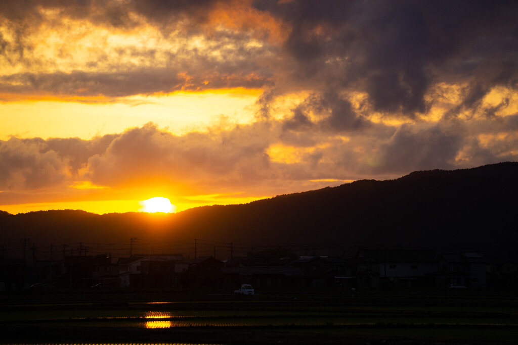 田園夕陽