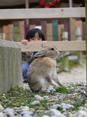 狩4