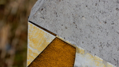 DSCN0369