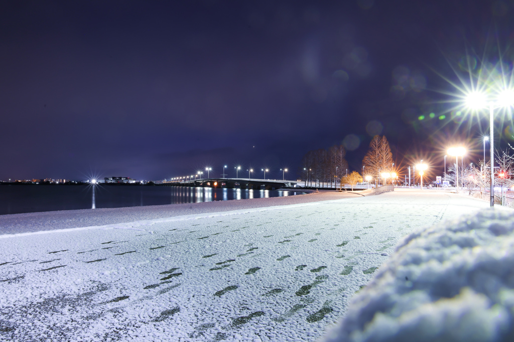 雪が積もった早朝の近江大橋