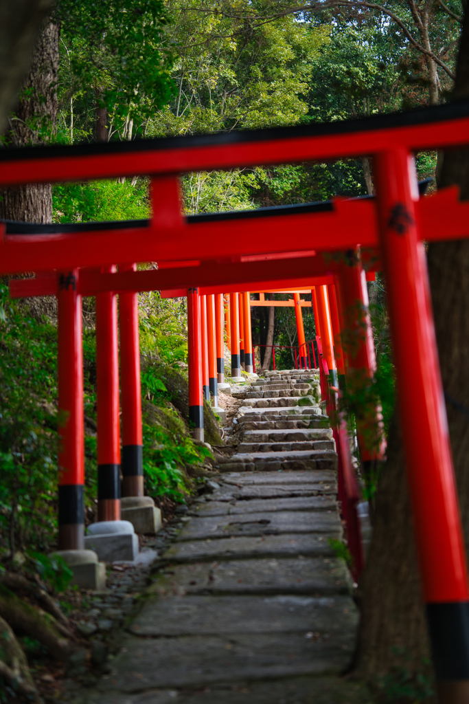 上賀茂の鳥居