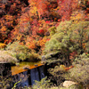 新潟県の紅葉