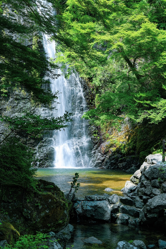 道の先に