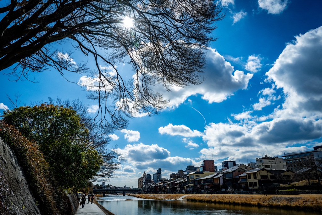 鴨川沿い