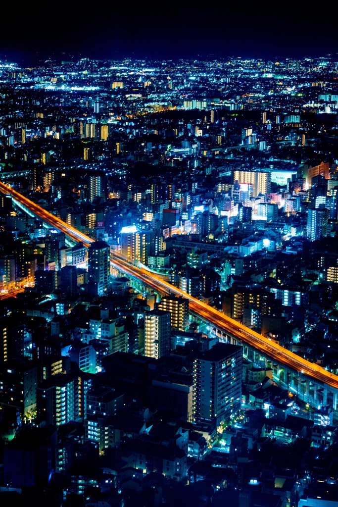 夜景②